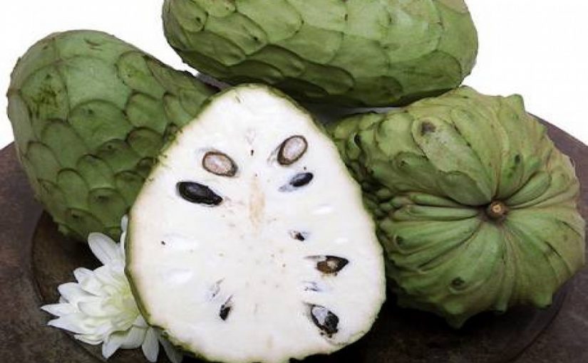 “Annona”, exotic fruit of Calabria