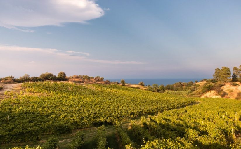 Melissa: the prestige of Calabrian wine culture
