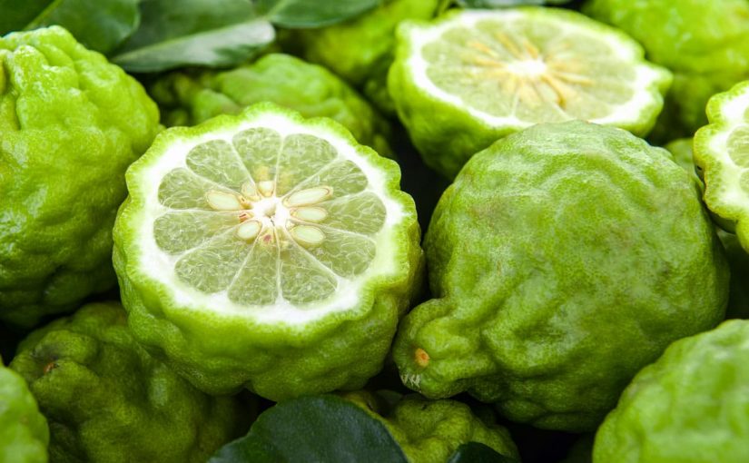 Edible Use of Bergamot