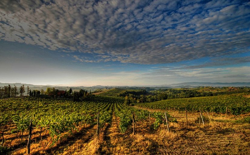 Map of Calabrian Wines