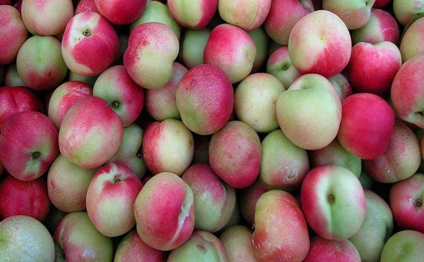 Fruits of Calabria: The Merendella Peach