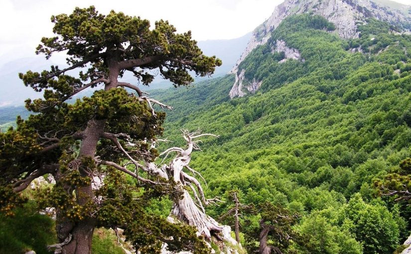 The Pollino Park: Wonderful!