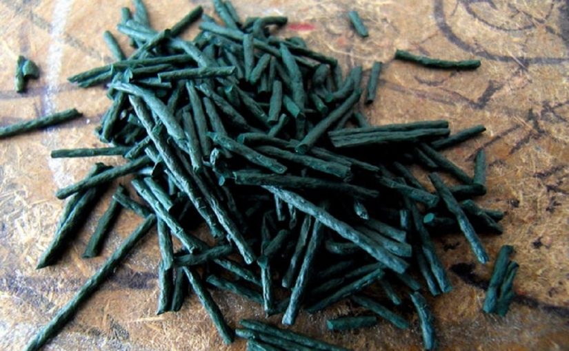 Spirulina, the superfood of Sant’Ilario (Calabria)