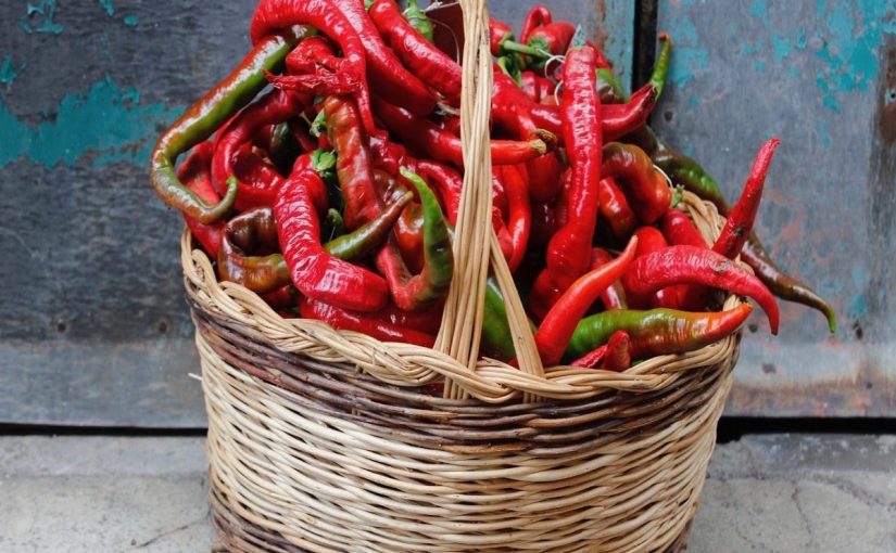 The crispy peppers of Tortora, so called “Zafarana”