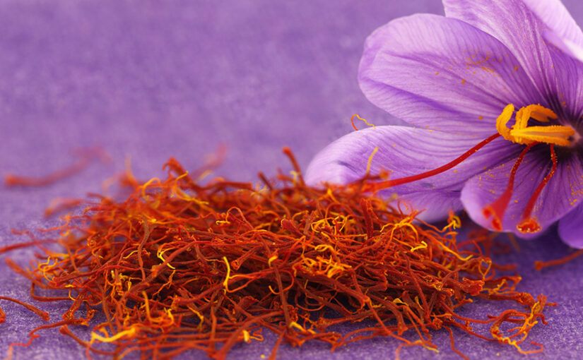 The red gold of Calabria: saffron, treasure of King Alaric