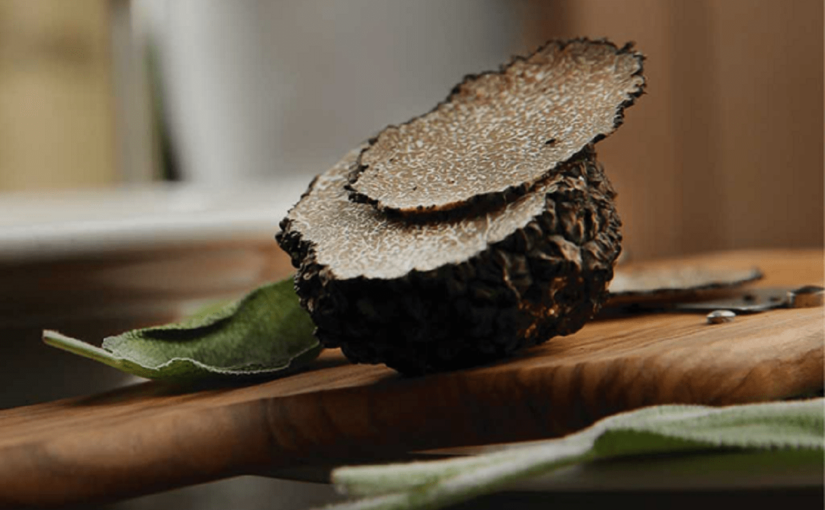 Calabrian Black Truffle, a treasure
